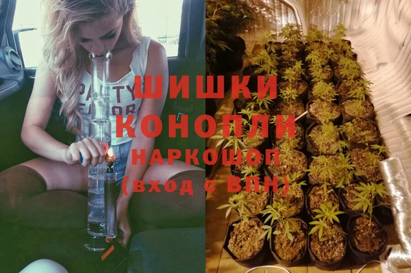 кокс Белокуриха