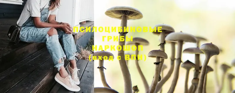 Псилоцибиновые грибы Magic Shrooms  это как зайти  Белоярский 